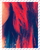 004.png