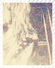 009.png