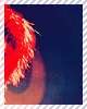 114.png