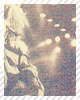 008.png