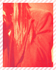 029.png